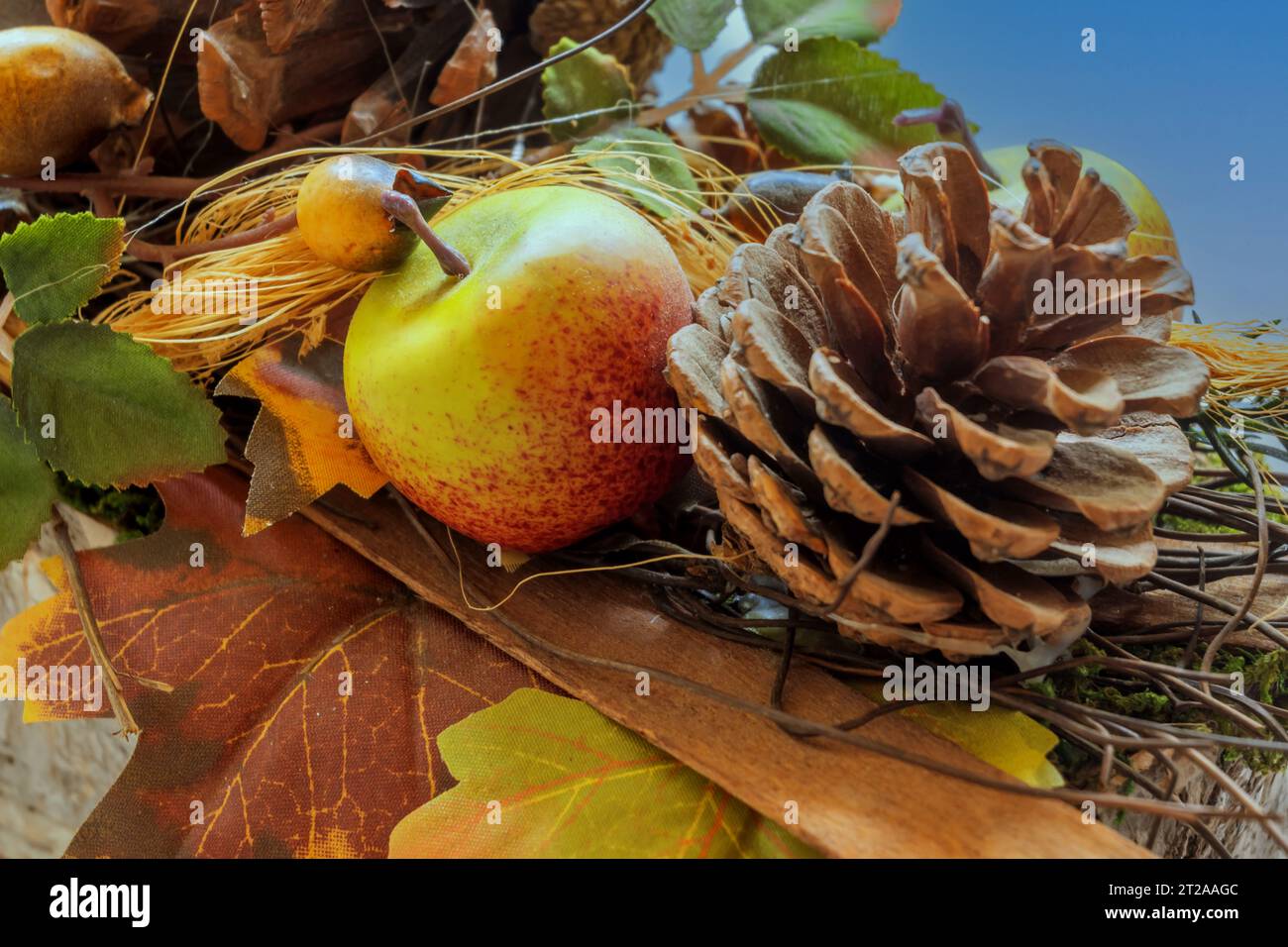 CONCEPT AUTUMN : AUTUMN DECOR Stock Photo