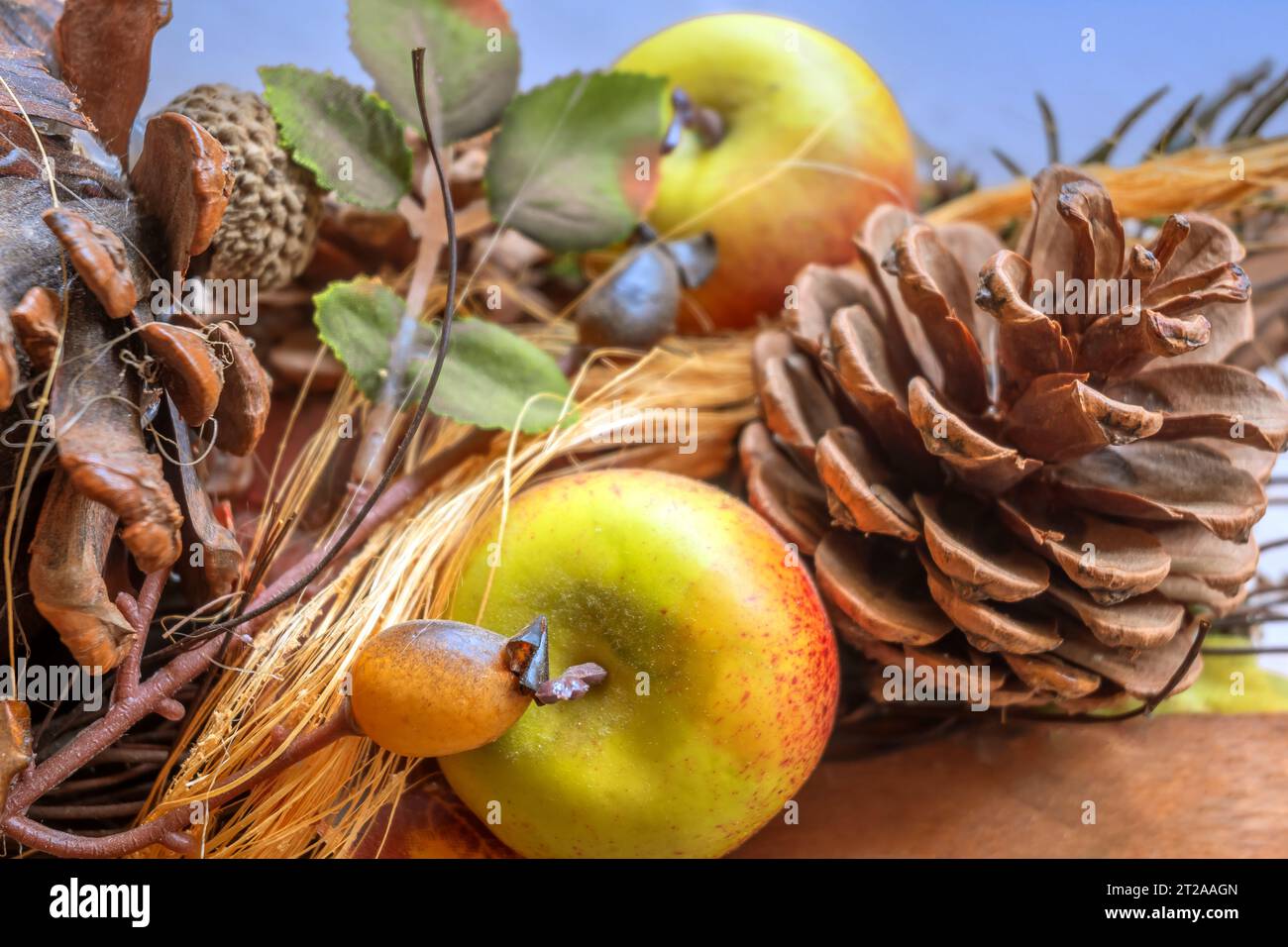 CONCEPT AUTUMN : AUTUMN DECOR Stock Photo