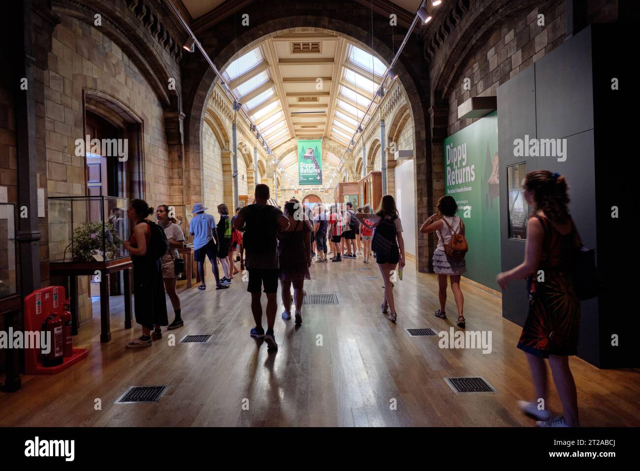 Crowded corridors of the Natural History Museum in London. 10 October, London, UK. Stock Photo