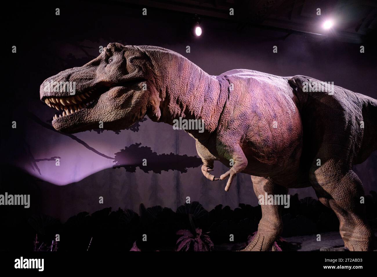 Animatronic Model Of A Tyrannosaurus Rex Dinosaur At The Natural History Museum On October 10 8138