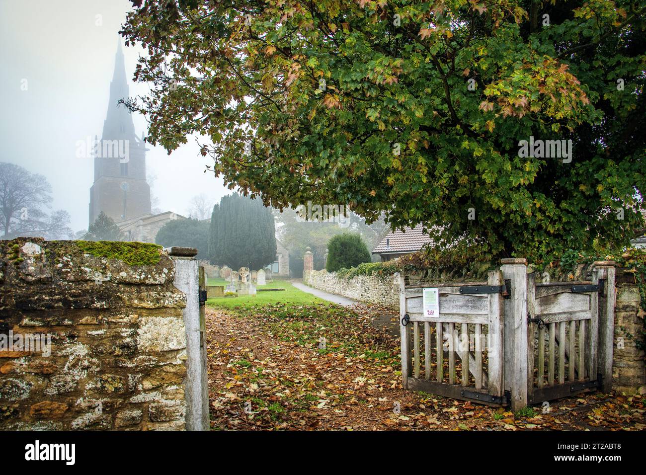 In autumn, in the village of Sharnbrook, Bedfordshire, England, UK, looking through a gate towards St Peter's parish church shrouded in mist Stock Photo