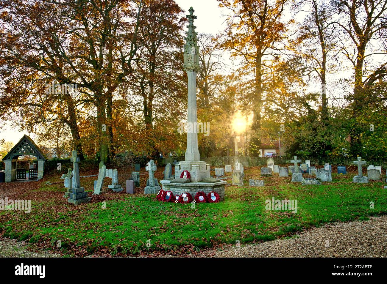 On remembrance day in autumn at sunset, war memorial and wreaths in St Peter's churchyard in the village of Sharnbrook, Bedfordshire, England, UK Stock Photo
