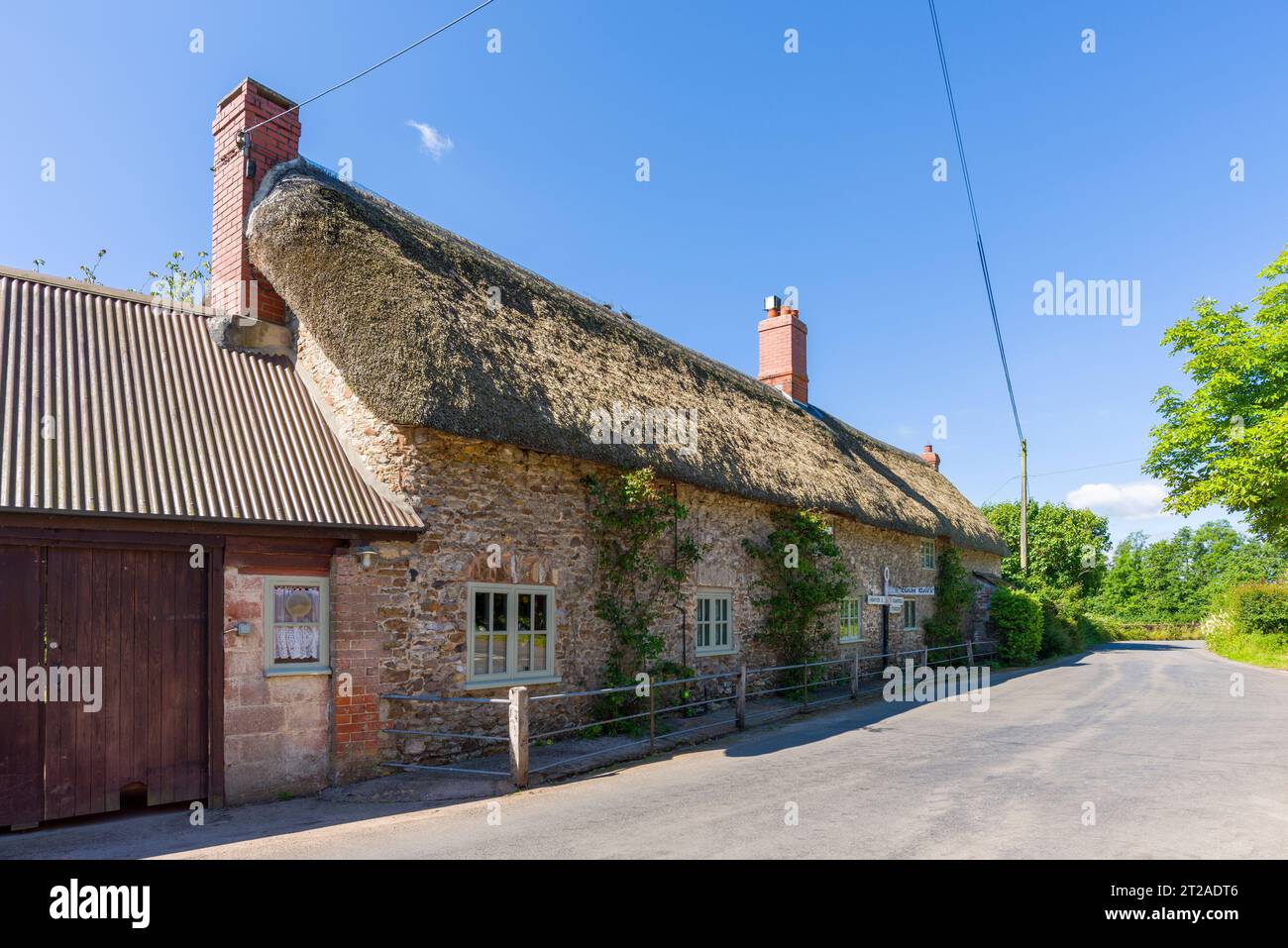 A thatched cottage beside a country lane in the Culm Valley in the Blackdown Hills North Devon