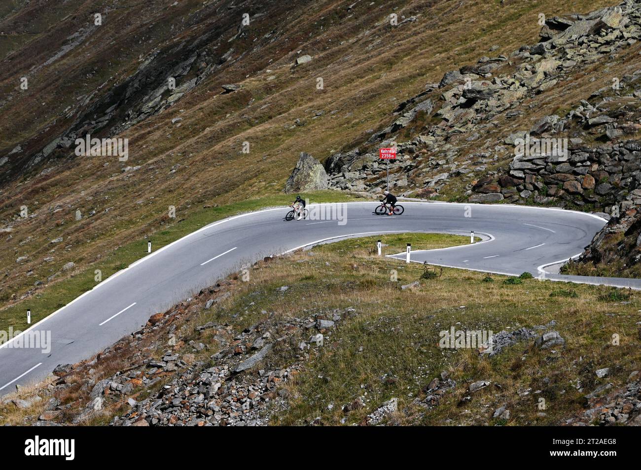 Rennradfahrer auf der Timmelsjoch Hochalpenstrasse zwischen …sterreich und Italien Stock Photo