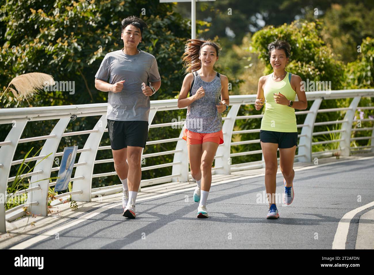 https://c8.alamy.com/comp/2T2AFDN/three-young-asian-women-female-joggers-exercising-outdoors-together-in-city-park-2T2AFDN.jpg