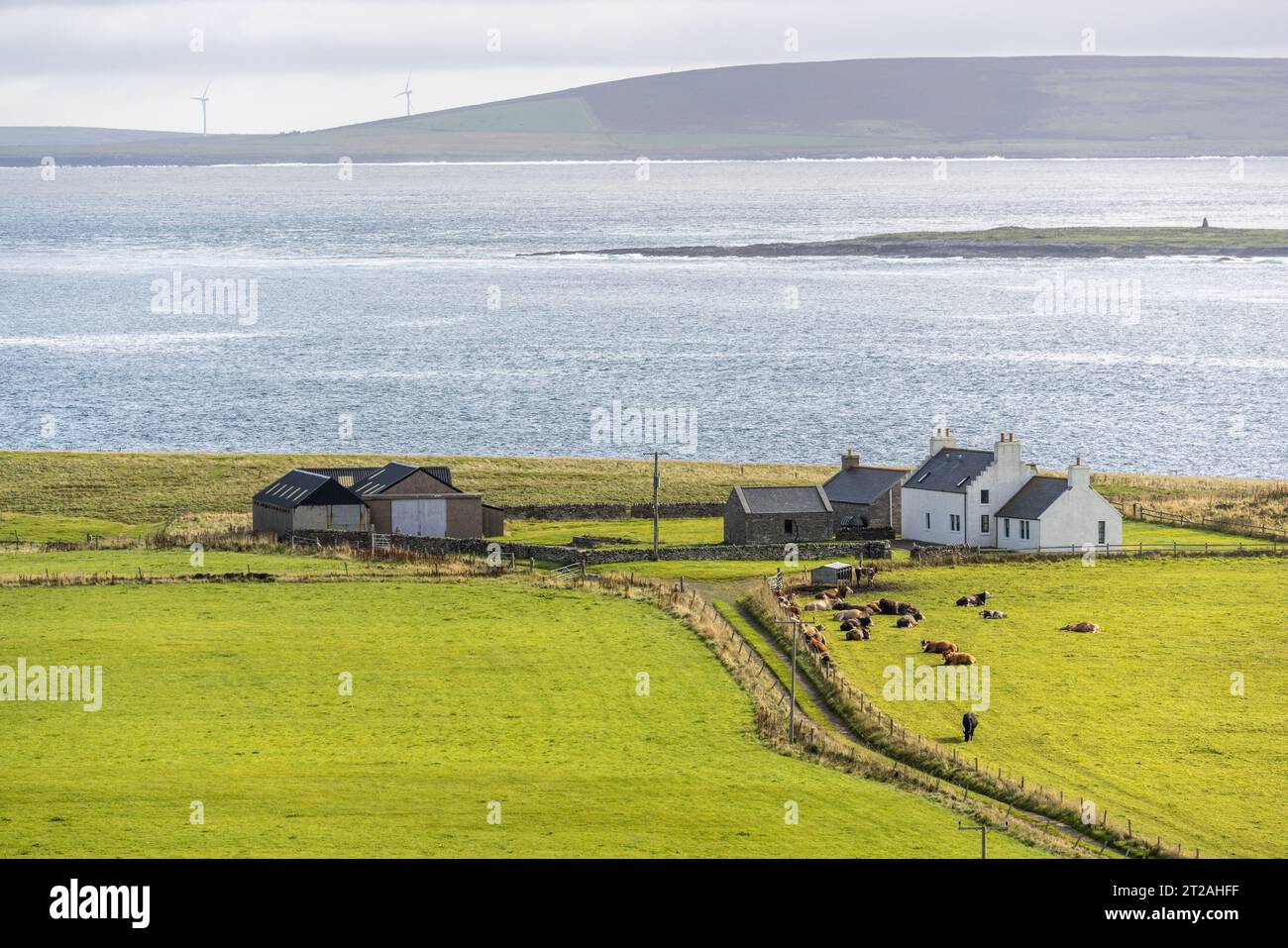 Farmhouse and Pasture from Faraclett Head, Rousay with Stockness & Egilsay Islands Beyond Stock Photo