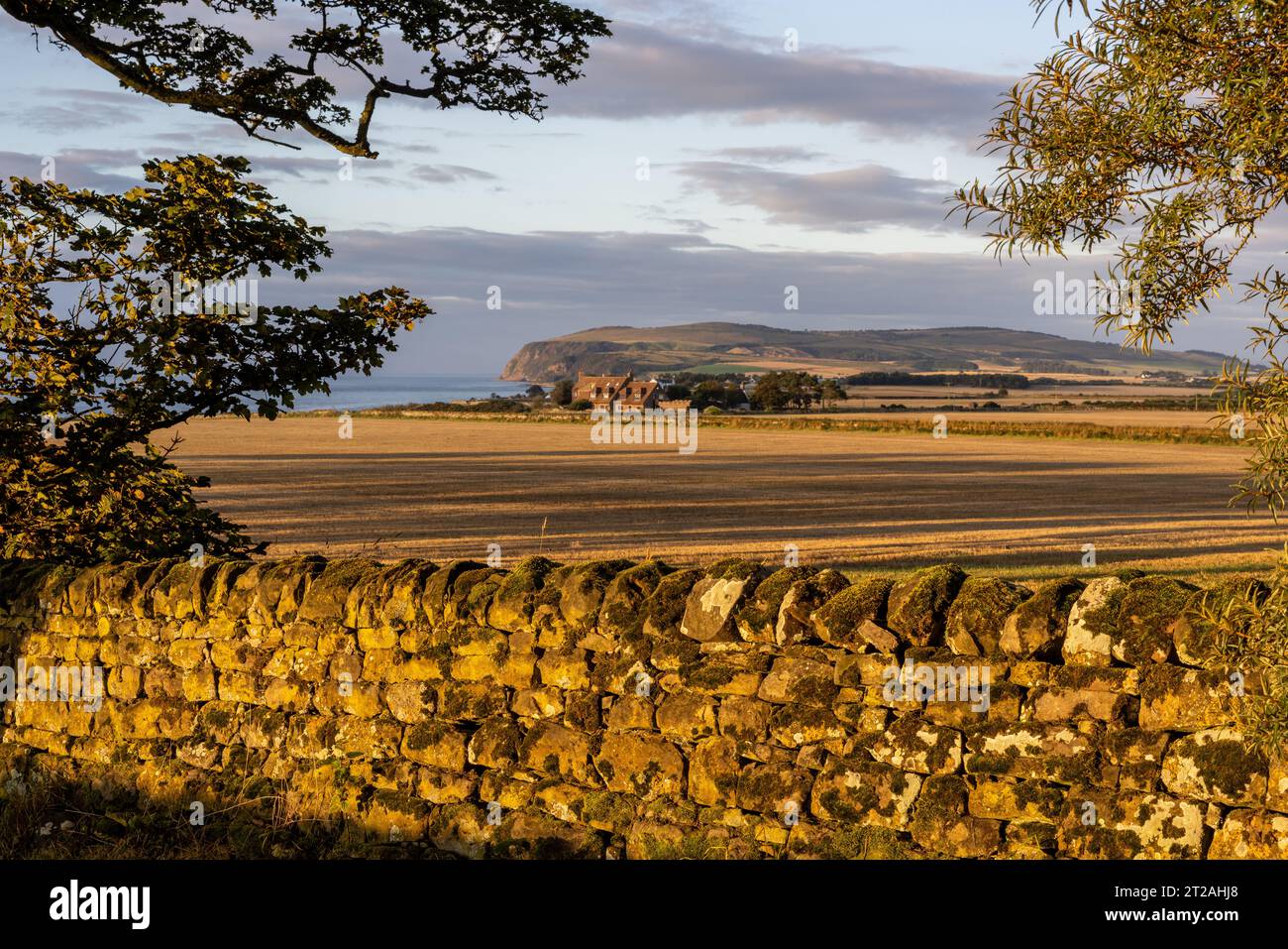Stone Wall, Harvested Field, & Great House, Cadboll, Scotland, UK Stock Photo
