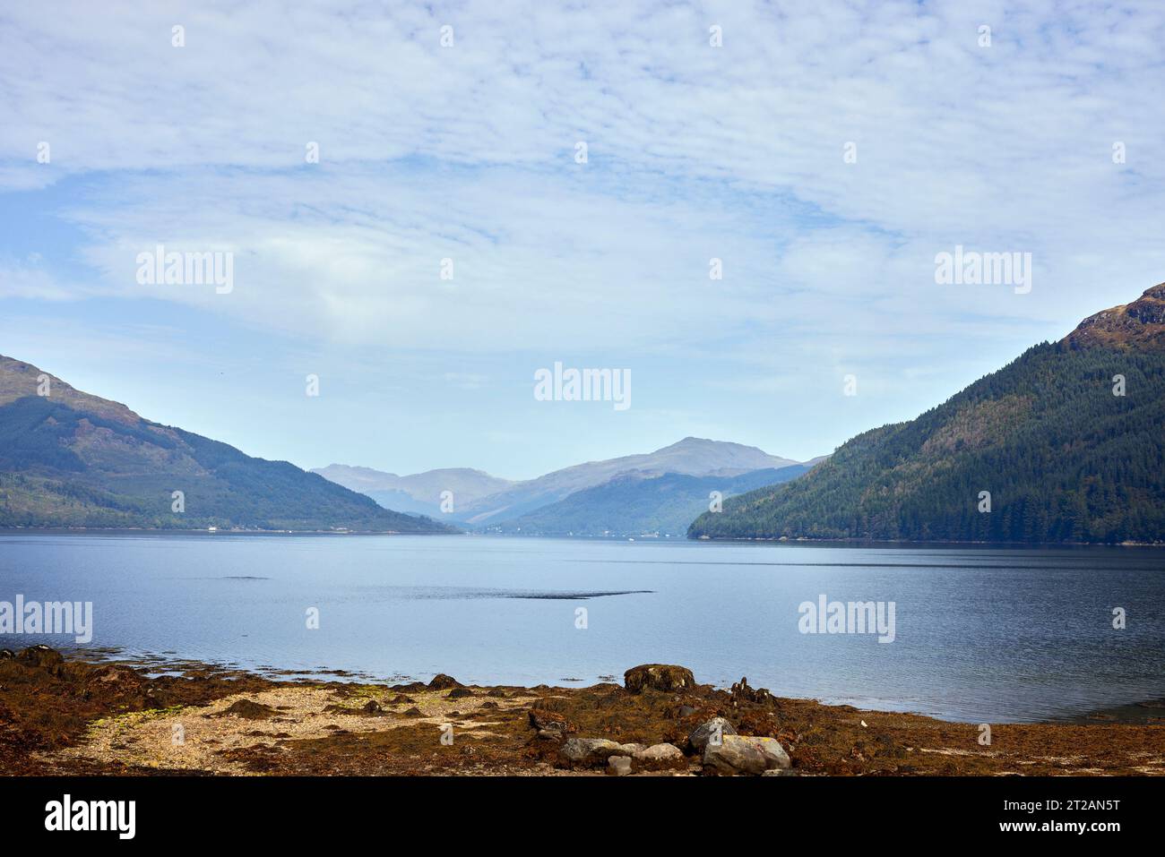 From Carrick Castle on the shore of Loch Goil, a distant view of Lochgoilhead with hazy hills in the background Stock Photo