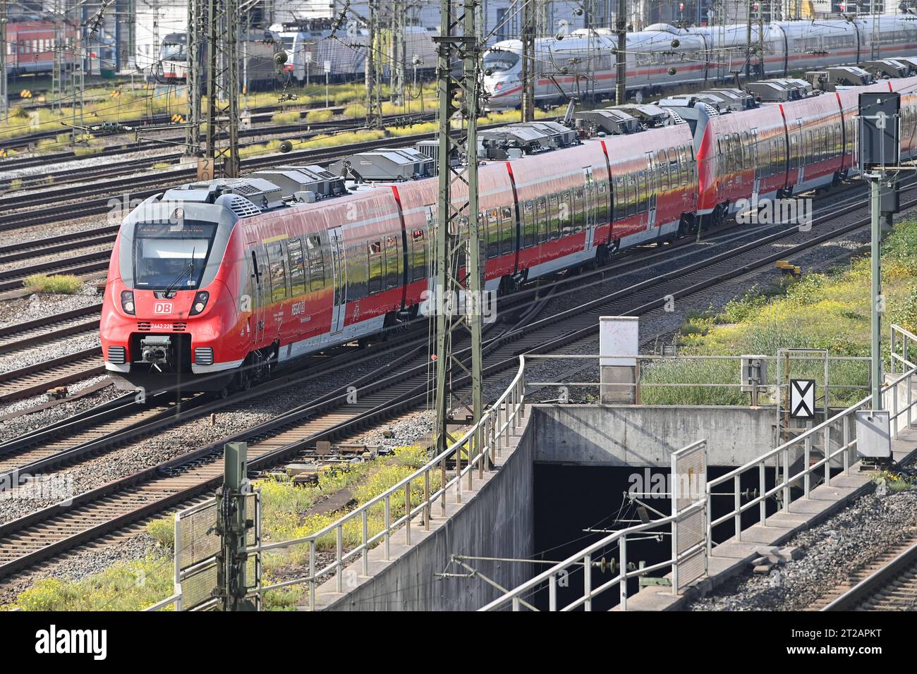 Ausfahrender, einfahrender Zug, Regionalzug, Regionalbahn, 49 Euro ...