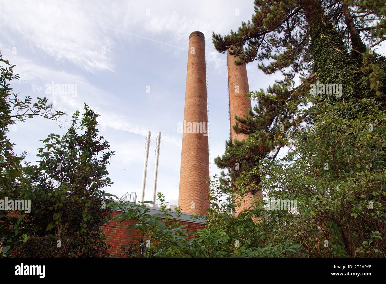 Tall stone- and metal chimneys behind the trees. High chimney pipes of ...