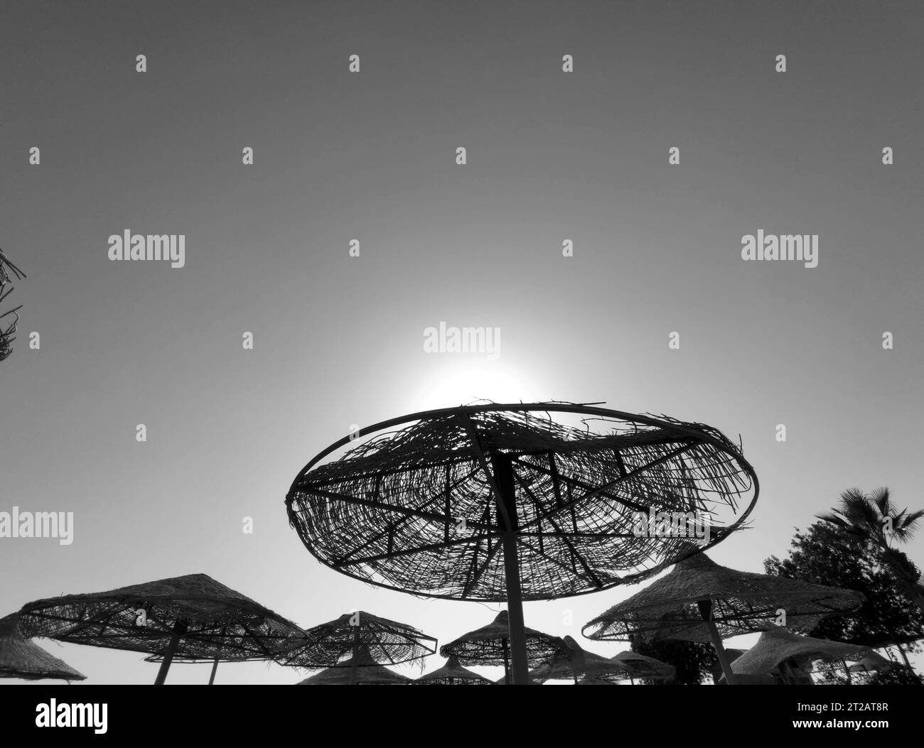 Beach umbrellas at the Egypt hotel resort Stock Photo - Alamy