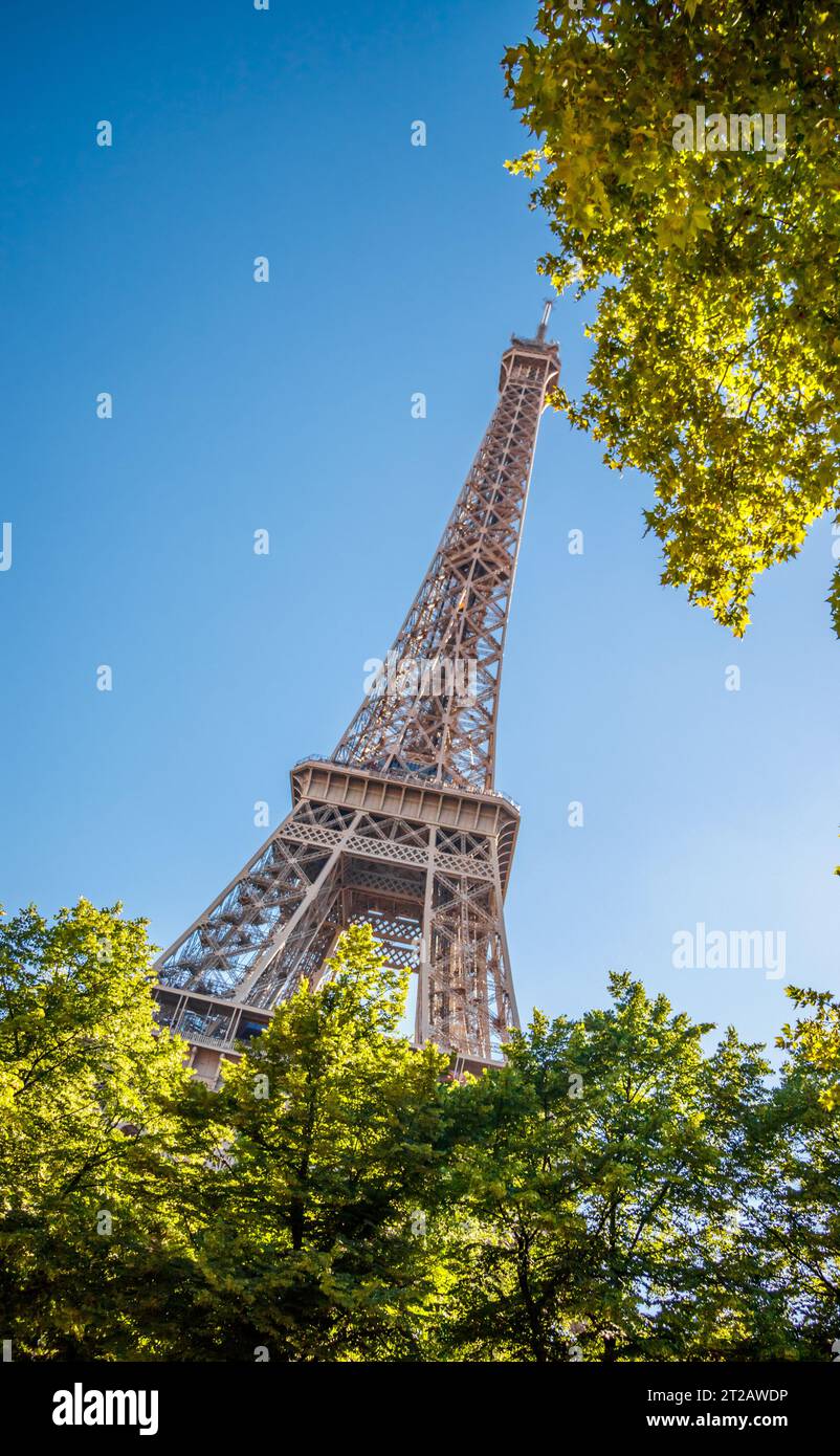 A view of the Eiffel Tower between some Paris city trees and a nice back light dawn sun showing some aesthetic lens flares Stock Photo