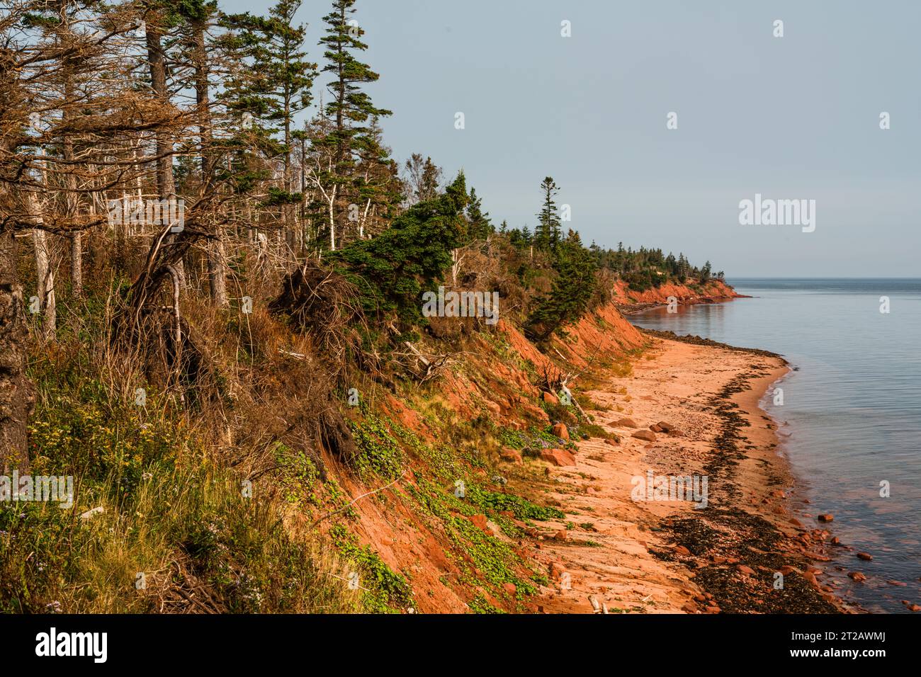 Murray Head from Cape Bear Lighthouse & Marconi Station   Murray Harbor, Prince Edward Island, CAN Stock Photo