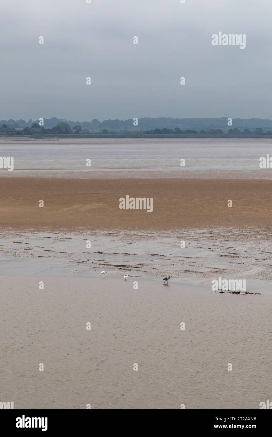 Low tide on the River Severn from Lydney Stock Photo Alamy