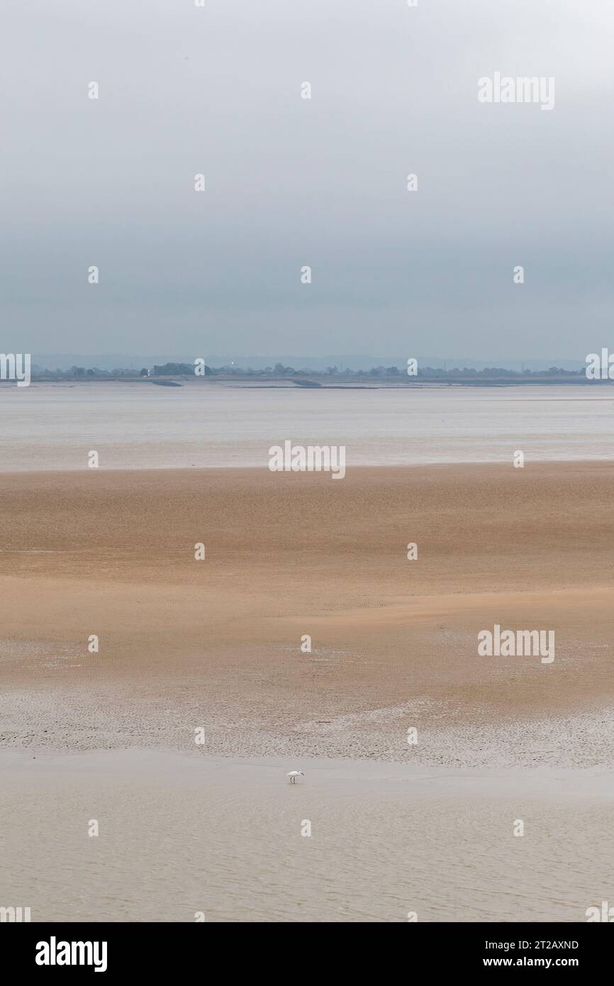 Severn estuary oldbury hi-res stock photography and images - Alamy
