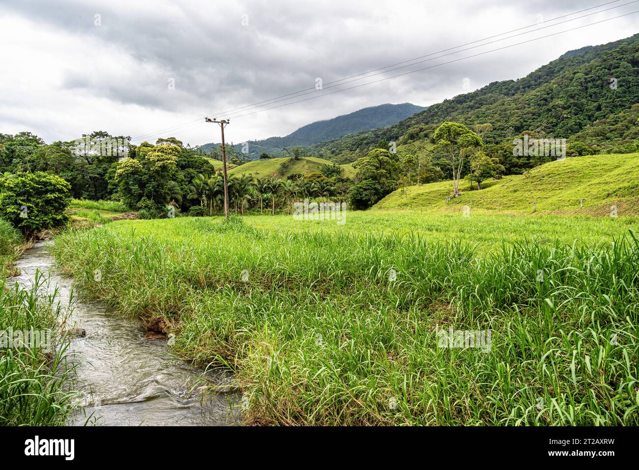 Green fields and meadows in the countryside of german immigrants of Pomerode, Santa Catarina in Brazil Stock Photo