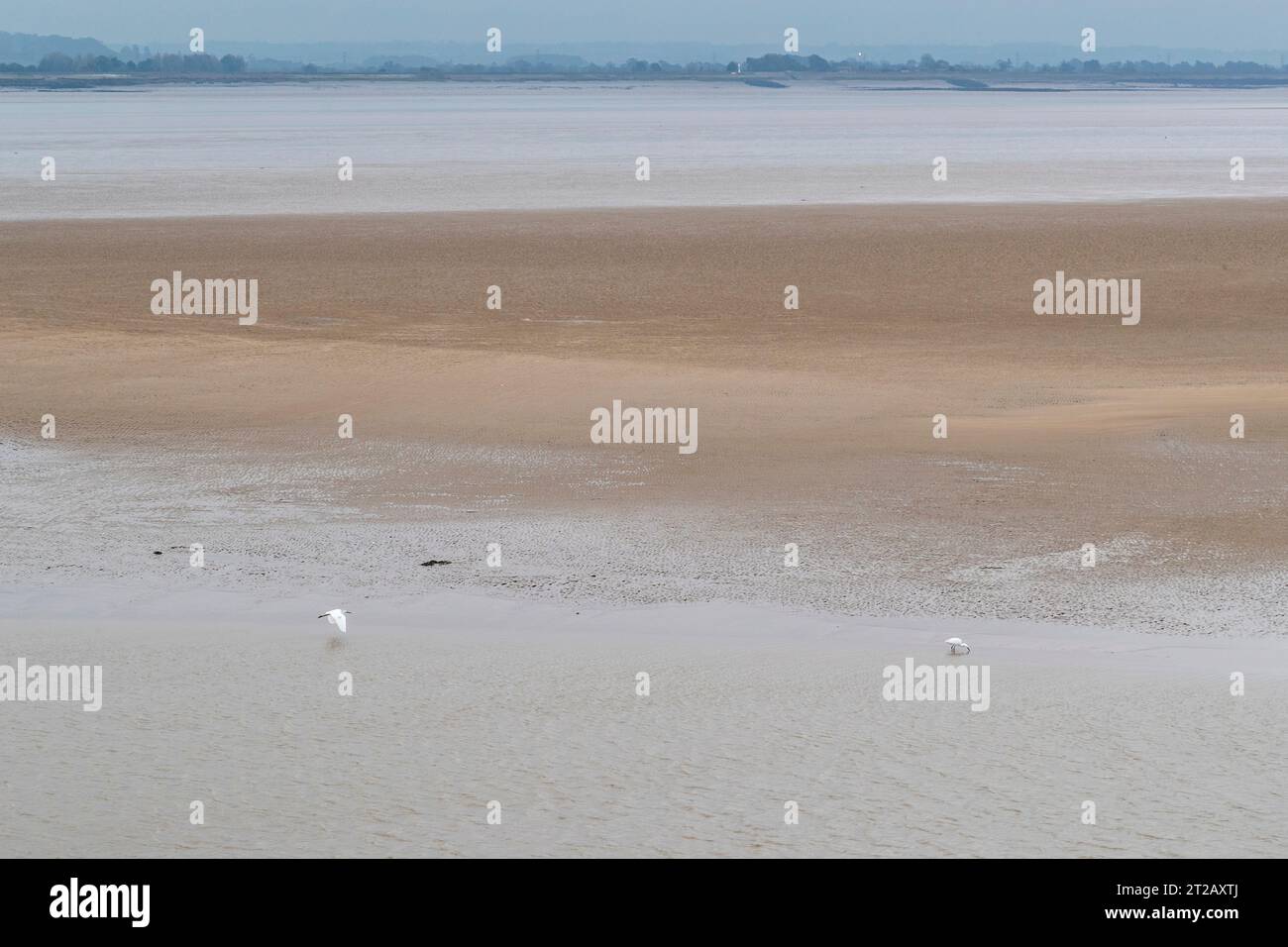 Low tide on the River Severn from Lydney Stock Photo Alamy