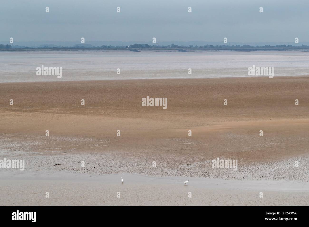 River severn estuary sandbanks hi-res stock photography and images - Alamy