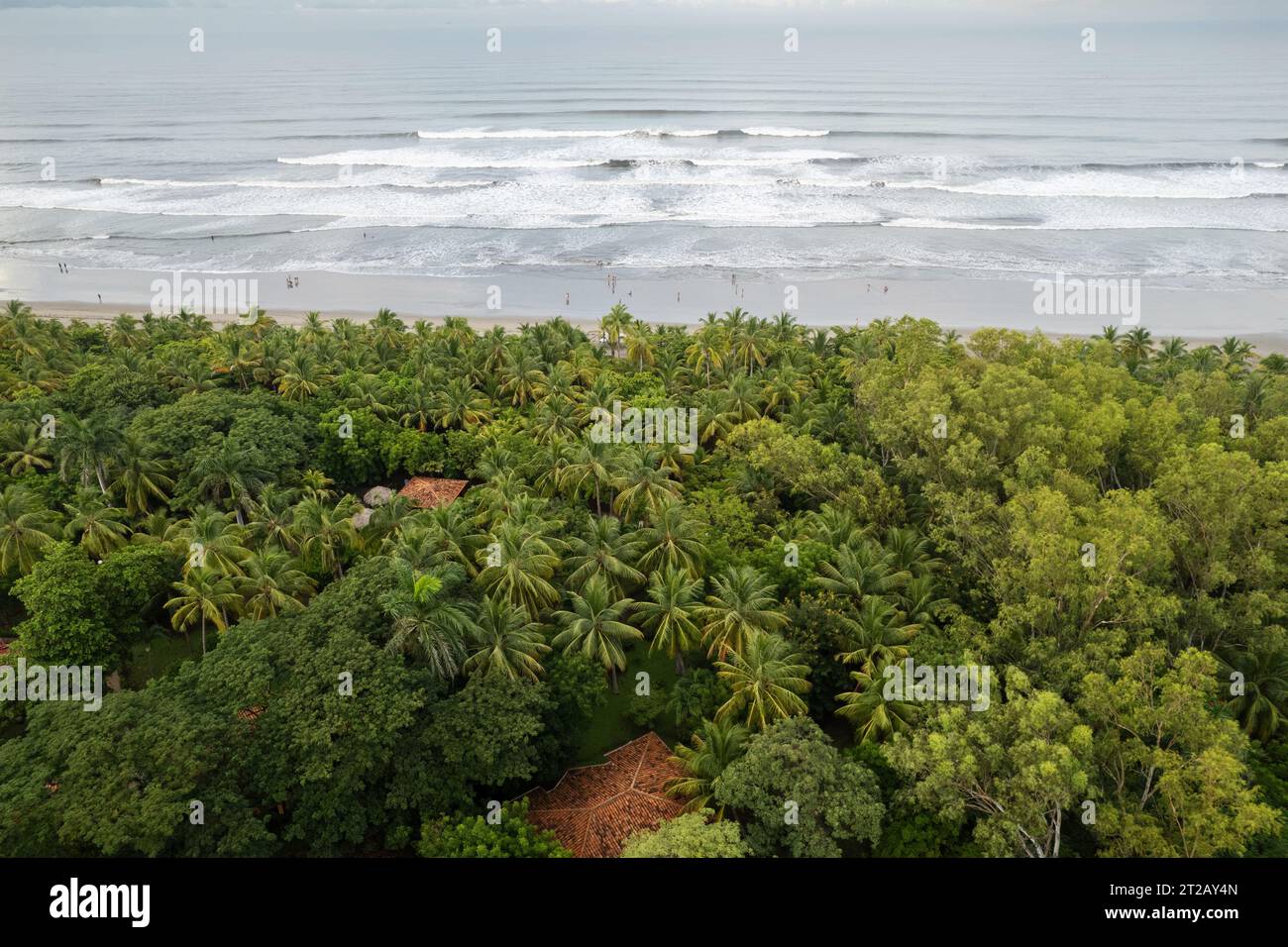 People spent time on beach theme. Many people on tropical beach aerial drone view Stock Photo