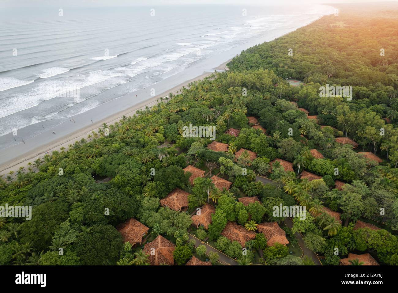 Ocean coastline with palm tree and villa roof aerial drone view Stock Photo