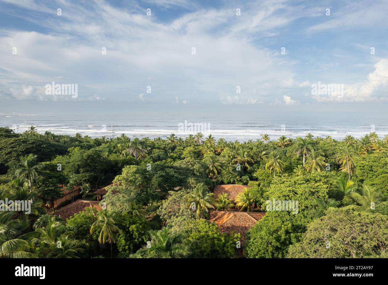 Villa roof in green palm tree next to sea beach aerial drone view Stock Photo