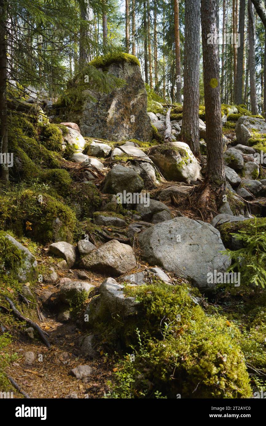 Very rocky hiking trail in Southern Konnevesi National Park, Finland. Stock Photo