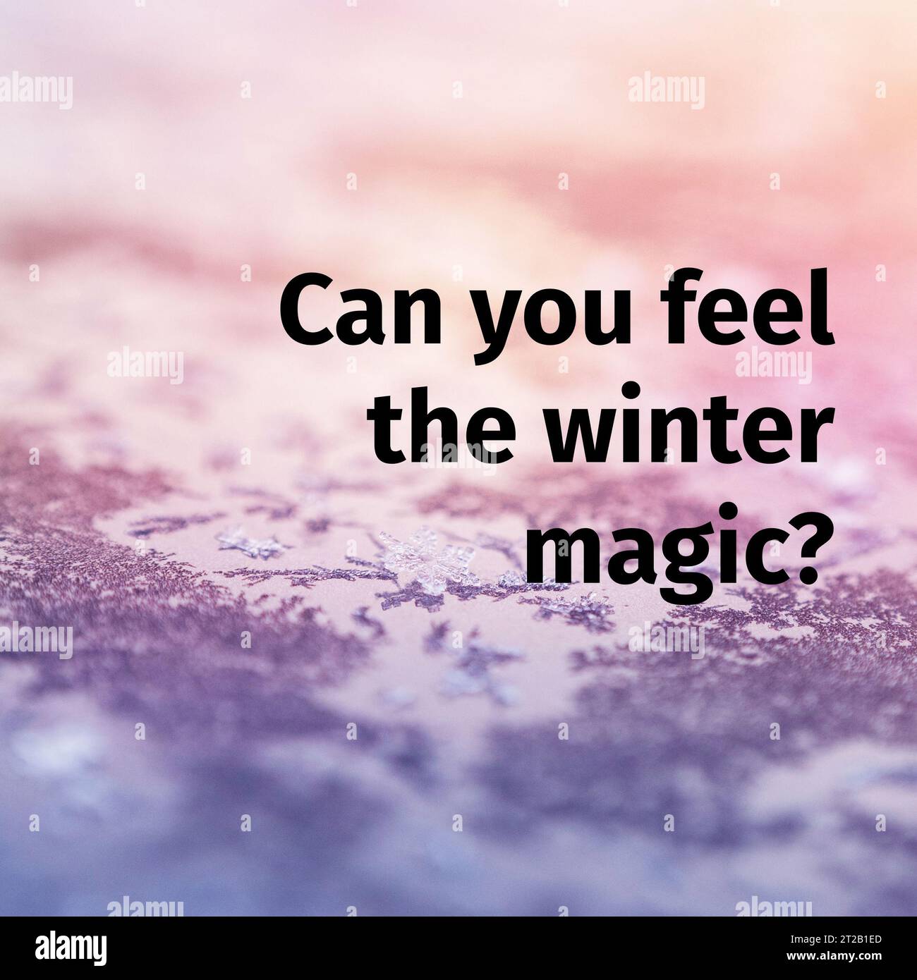 Composite of can you feel the winter magic text over winter scenery Stock Photo