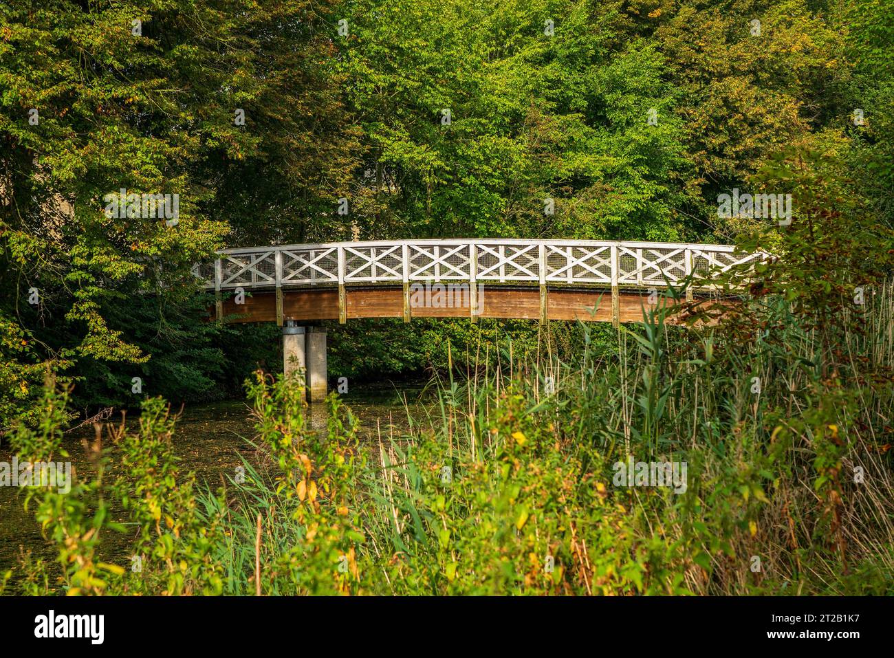 A white pedestrian bridge in the park in autumn, Germany. Stock Photo