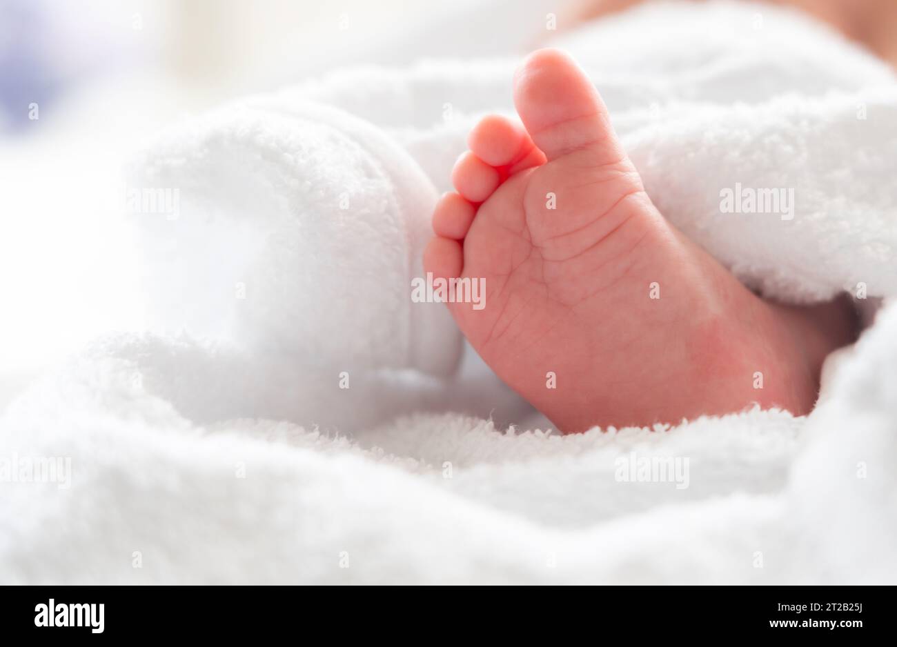 Newborn foot's first bath peek from beneath soft white towel Stock Photo