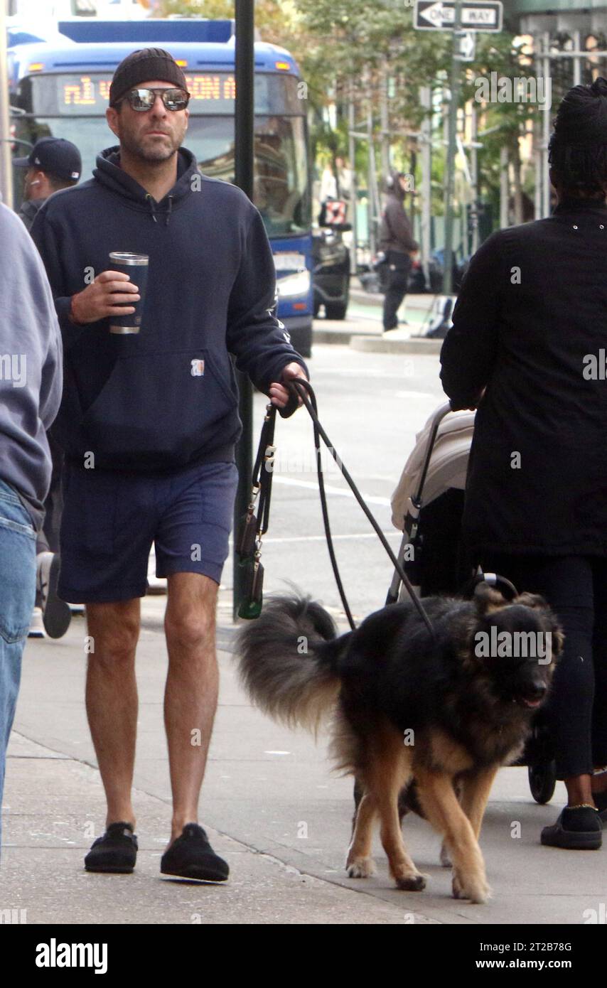 Zachary Quinto Wears Shorts Over Pants to Walk His Dogs, Celebrity Pets,  Zachary Quinto