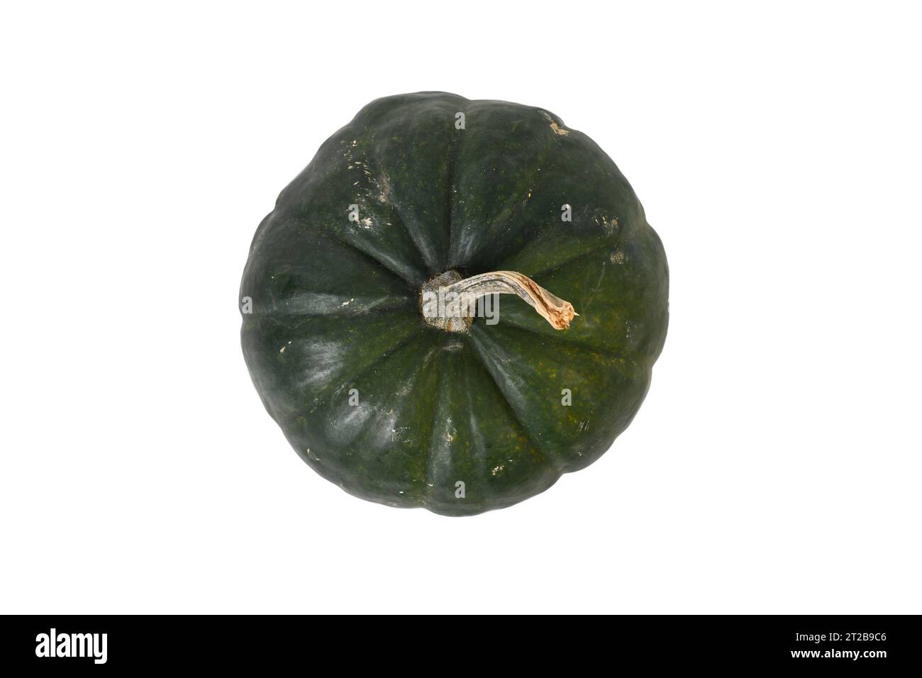 Top view of dark 'Black Kat F1' acorn squash with dark green, almost black, skin on white background Stock Photo