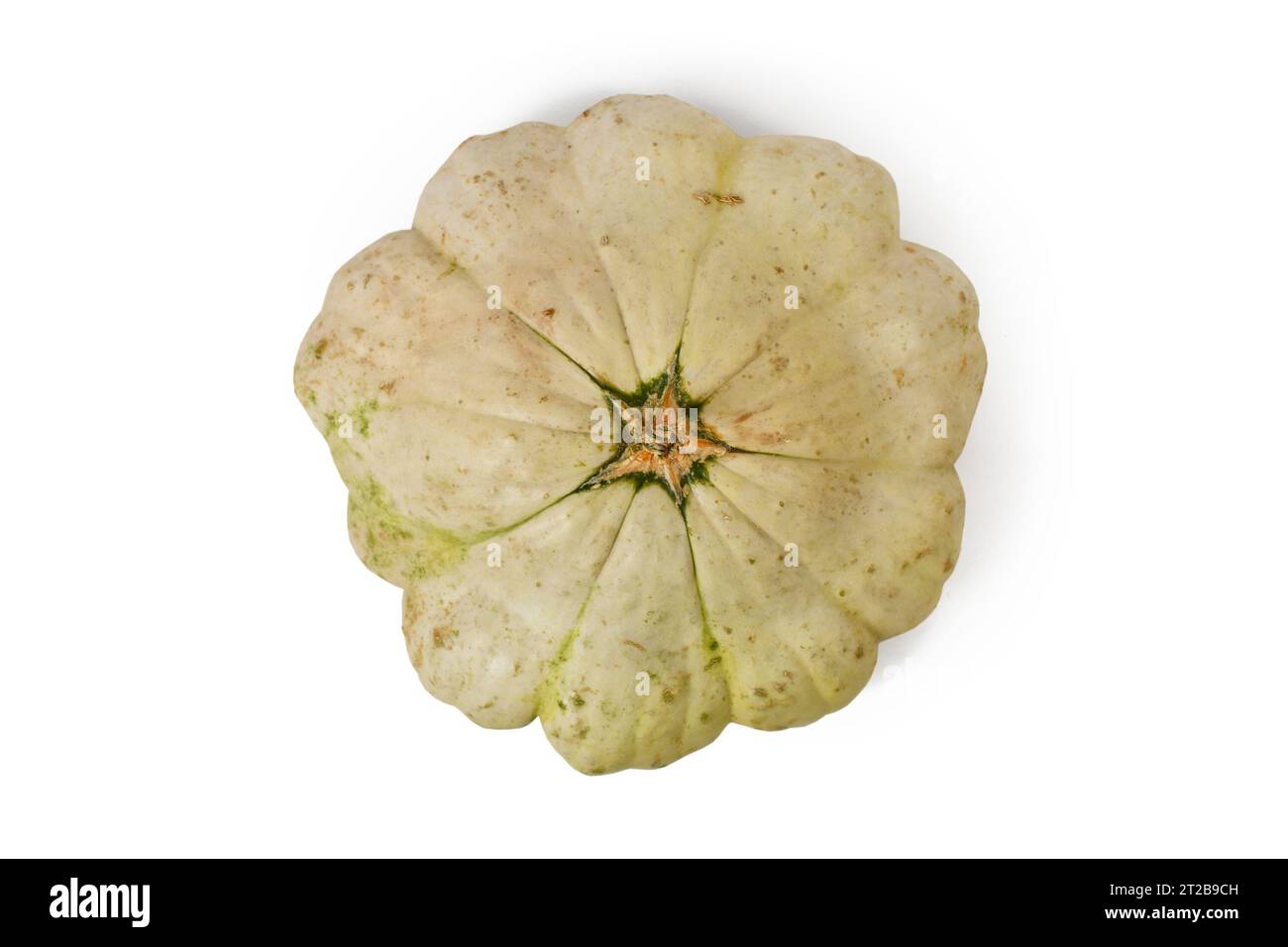 Top view of Pattypan squash with round and shallow shape and scalloped edges on white background Stock Photo