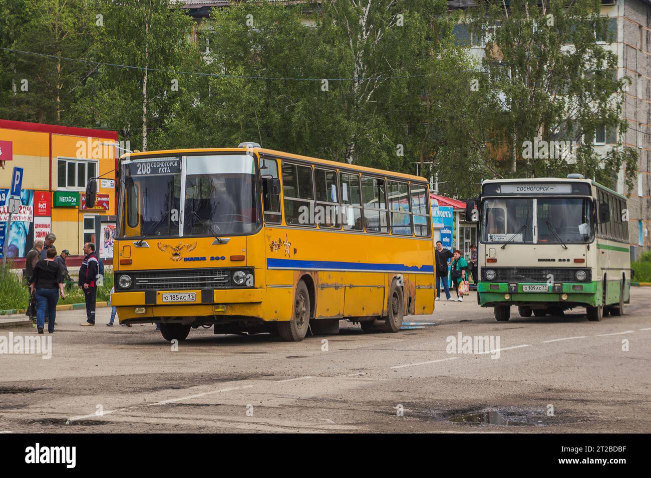 File:Ikarus 280 MZK Bydgoszcz.jpg - Wikimedia Commons