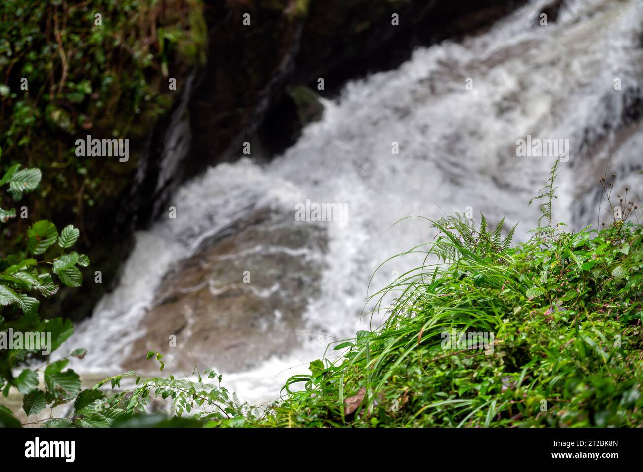 Water Flow From Rocks Creek flowing between large rocks hi-res stock photography and images ...