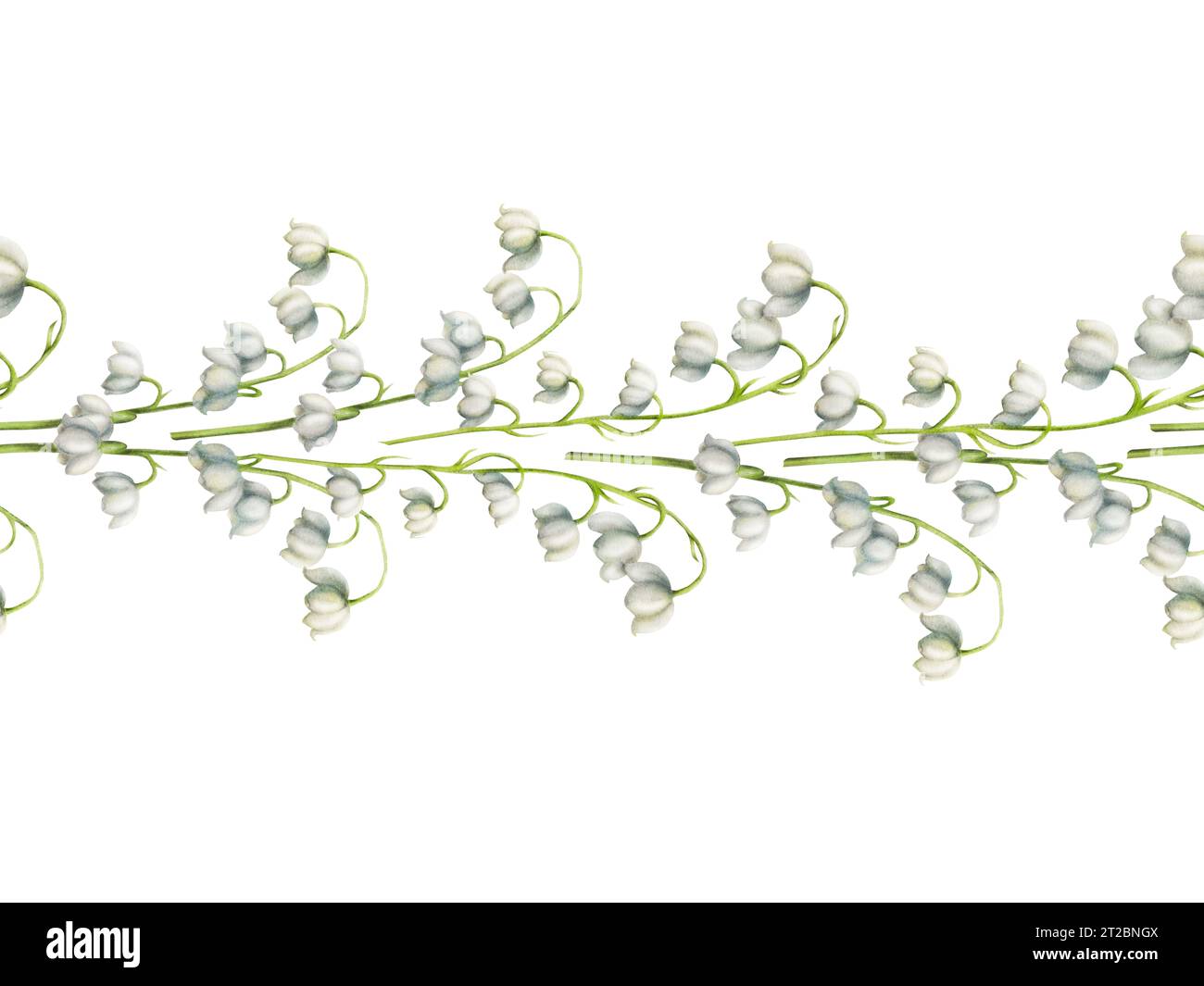Watercolor seamless border with lily of the valley flowers isolated on ...