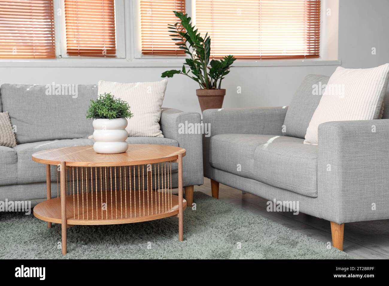 Interior of light living room with grey sofas and coffee table Stock ...