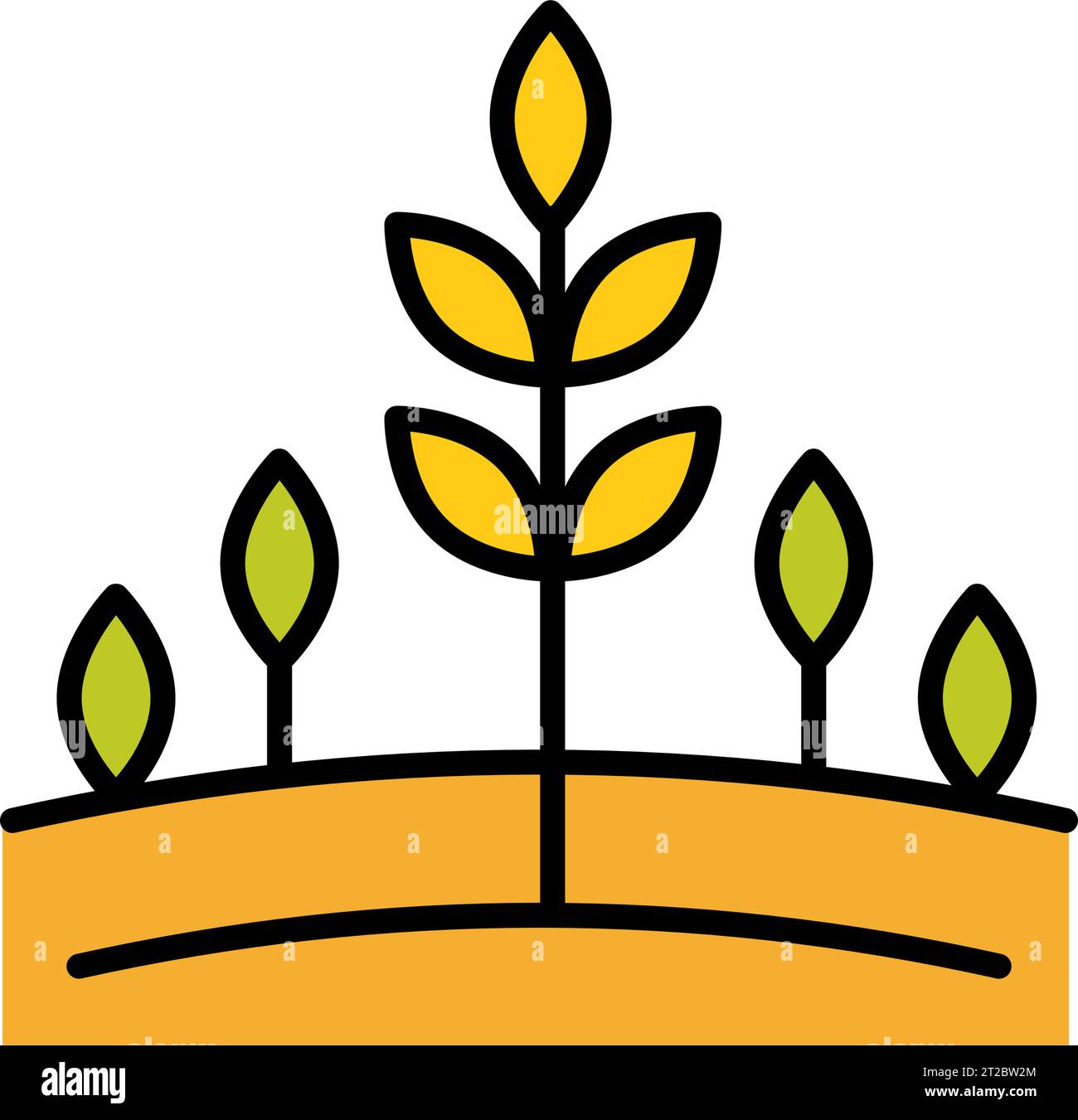 Vector farm wheat ears color icon template. Flat whole grain symbol ...