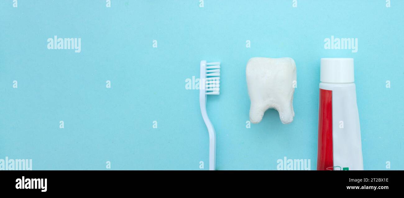 Tooth Toothpaste Close up of a toothbrush and toothpaste with white molar tooth model on ...