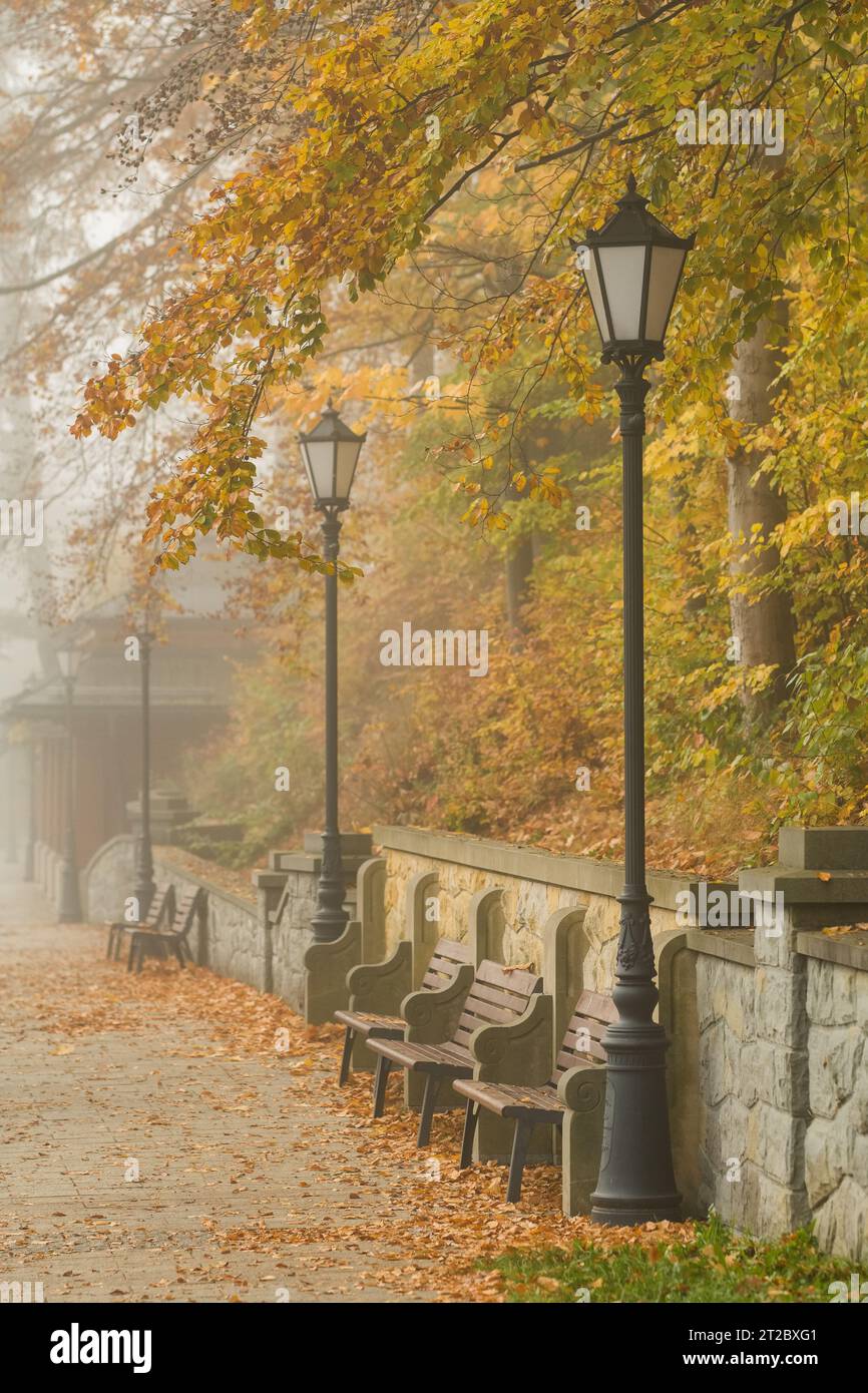 Wooden outdoor benches hi-res stock photography and images - Alamy