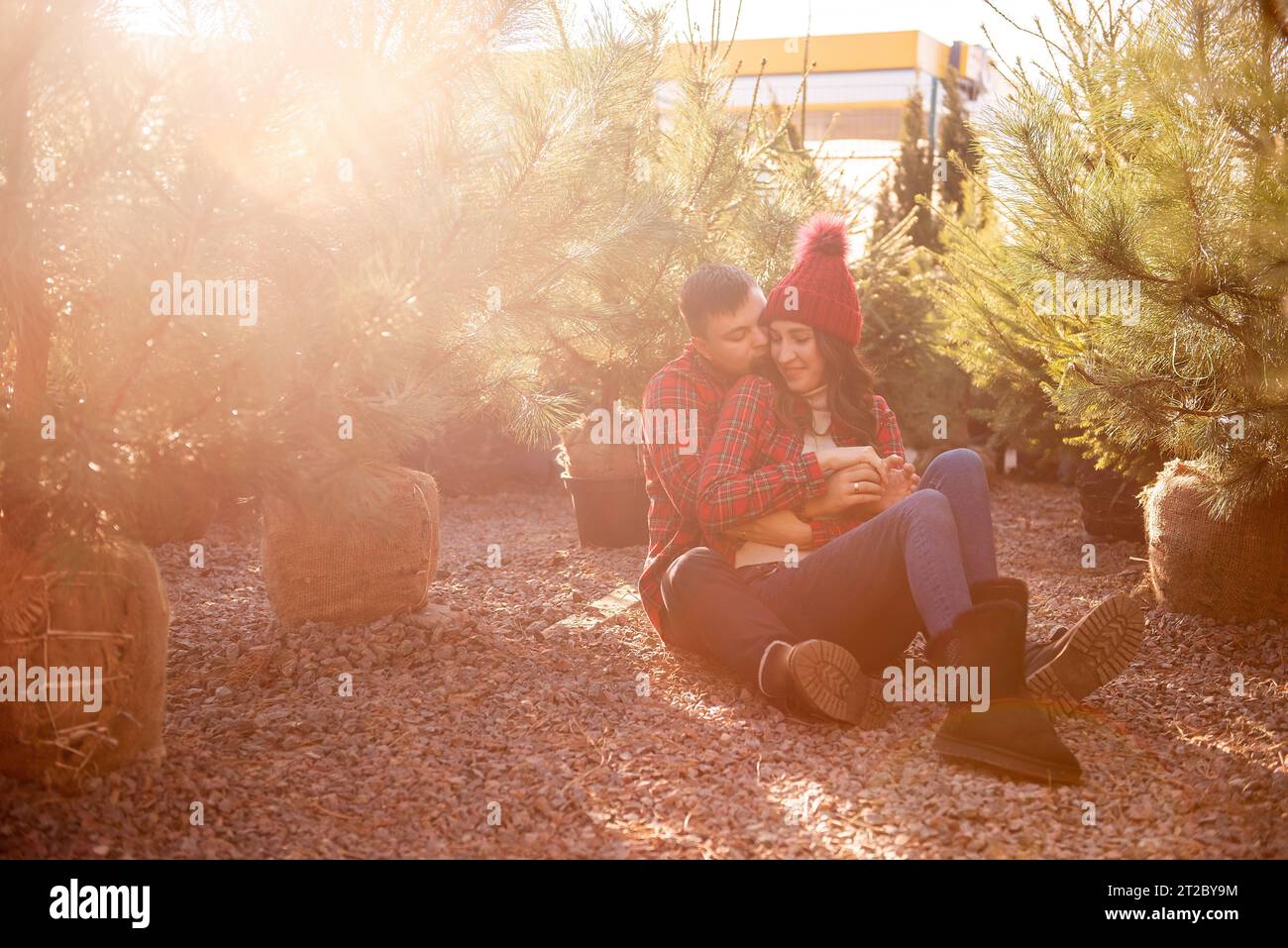 In sunlight young couple relaxing in forest wearing red checkered shirts, sitting among Christmas tree seedlings at street market. Man hugs woman in k Stock Photo