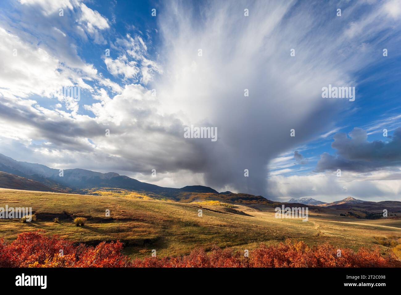 Warn sunlight on fall colors in the San Juan Mountains along Last Dollar Road near Telluride, Colorado Stock Photo