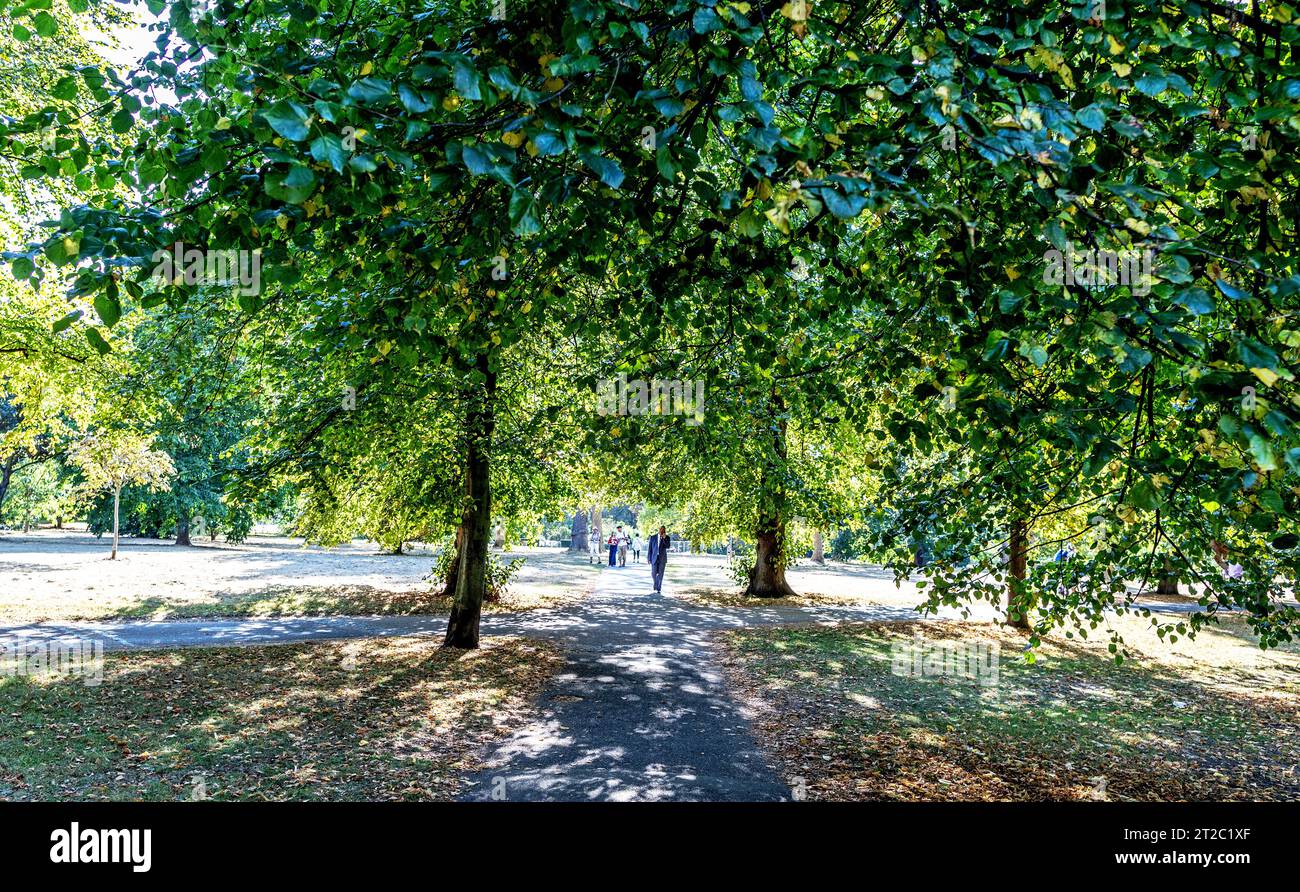 Tourists Walking in Hyde Park London UK Stock Photo
