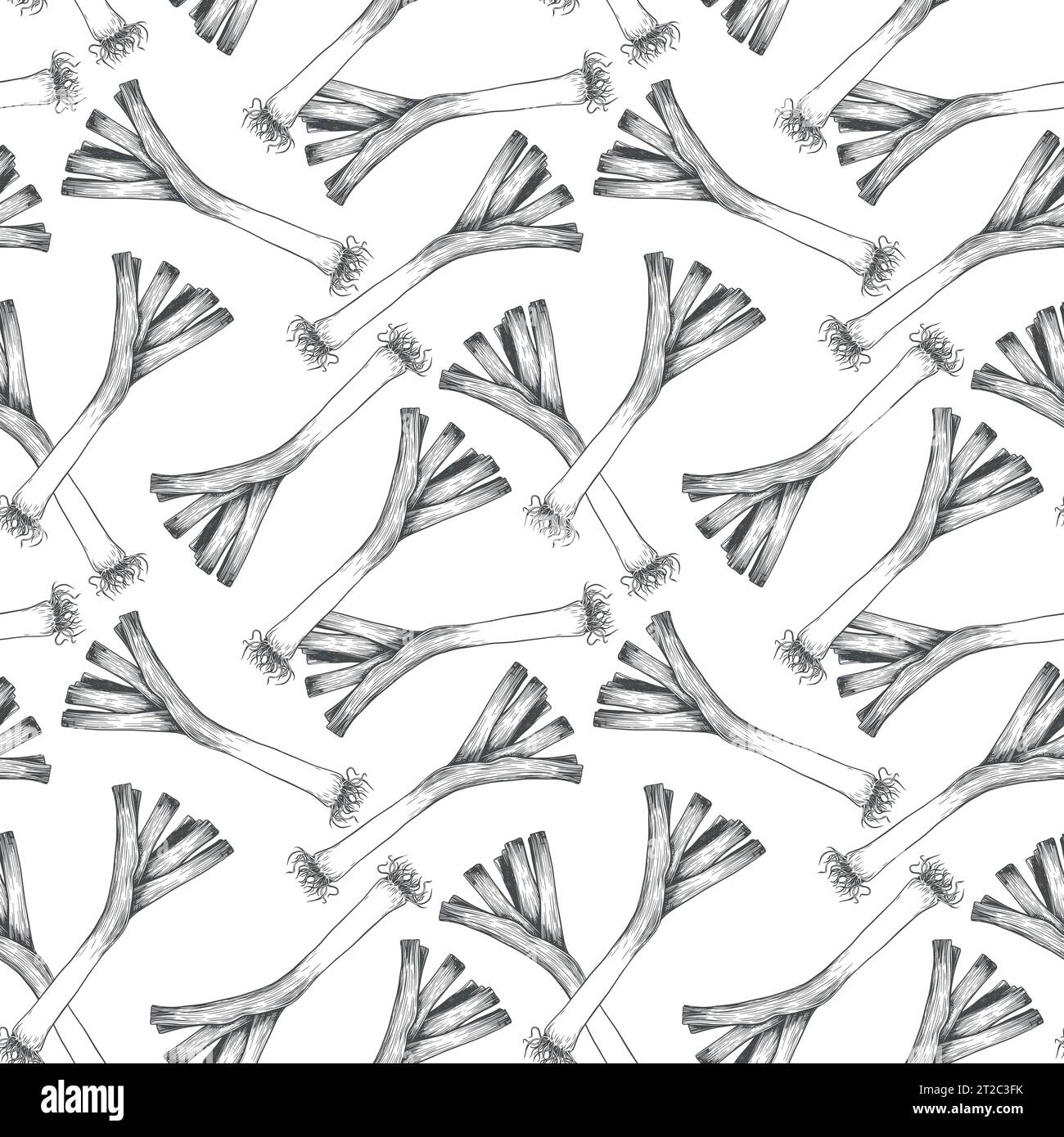 Green leek vector pattern, engraving style. Design for wallpapers ...