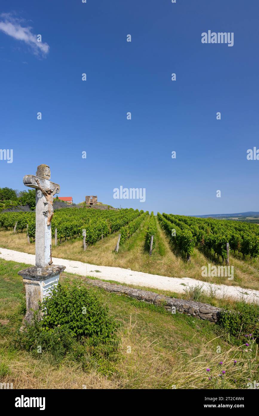 vineyard in Somlo (Somlyo) hill, Veszprem county, Hungary Stock Photo