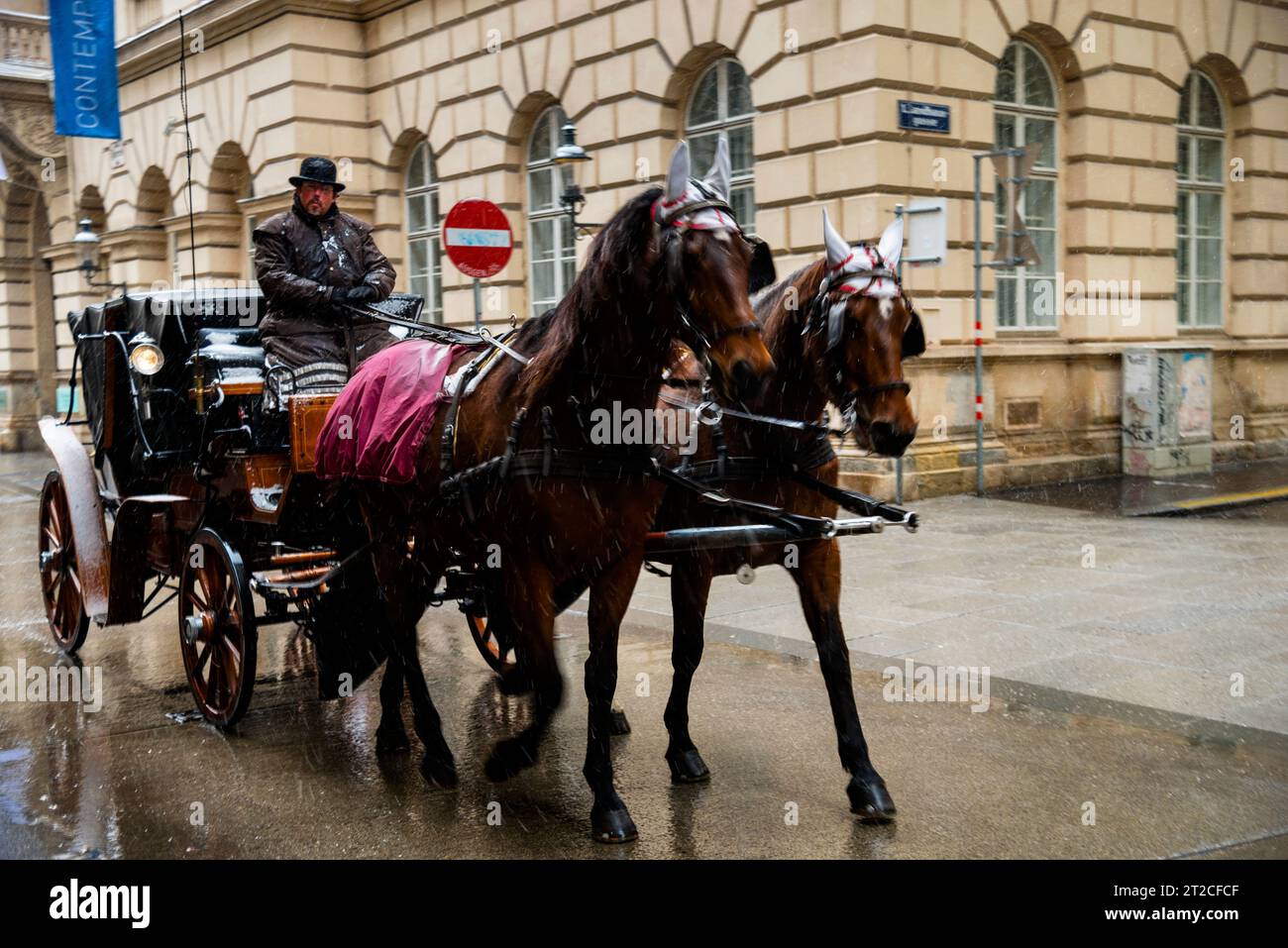 City snow horse carriage hi-res stock photography and images - Alamy