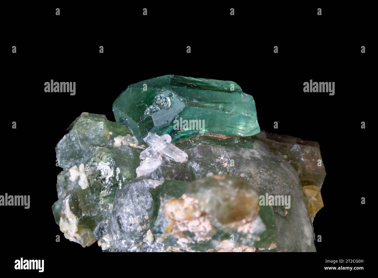 Closeup view of Tsavorite crystal from Tanzania. Set on host rock. Quartz crystals visible. Black background. Stock Photo