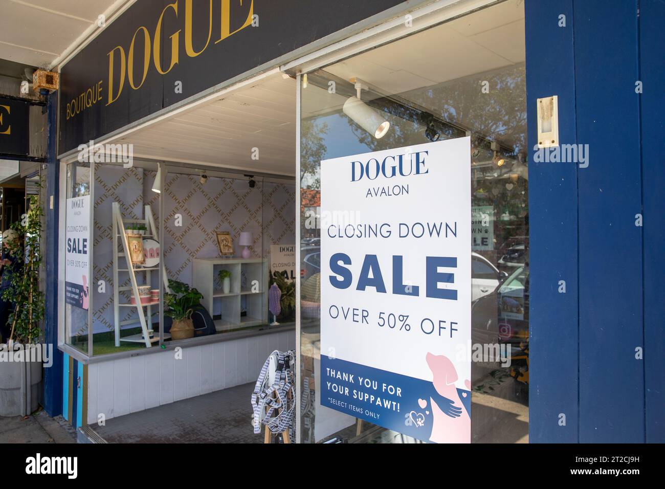 Dogue pet shop sale