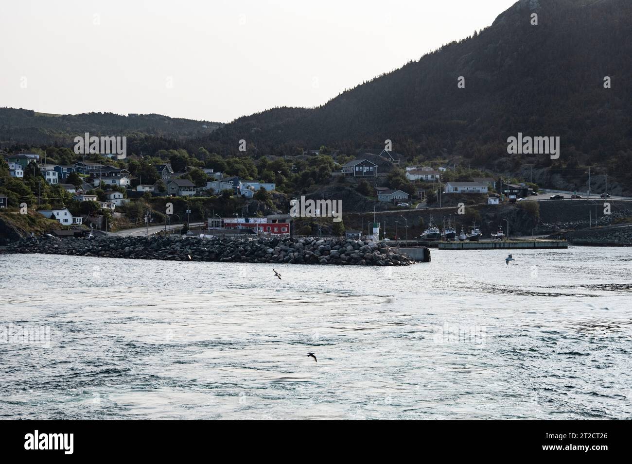 Portugal Cove ferry terminal from ferry to Bell Island, Newfoundland