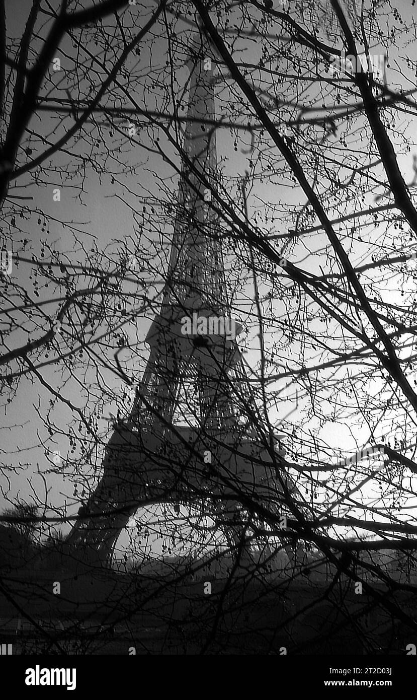 The Eiffel Tower viewed through trees along the Seine in Paris, France Stock Photo