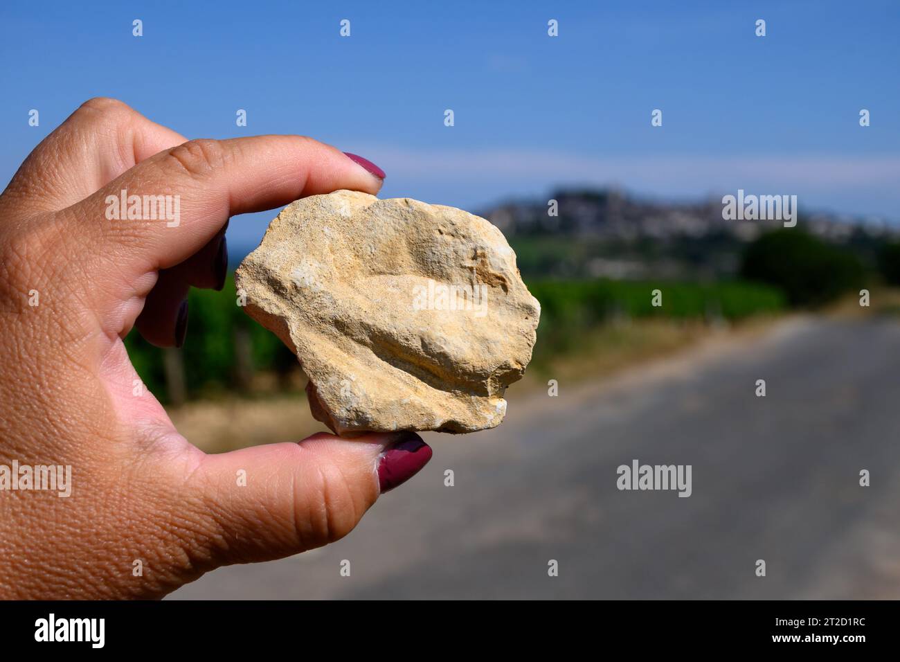 Example of terres blanches claylimestone white soils on vineyards